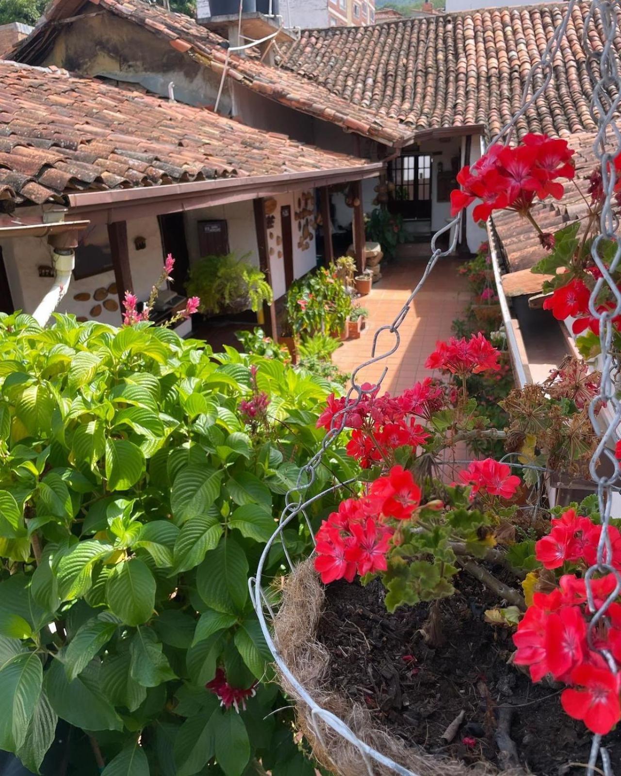Hotel Casa Posada Don Chepe سان جيل المظهر الخارجي الصورة